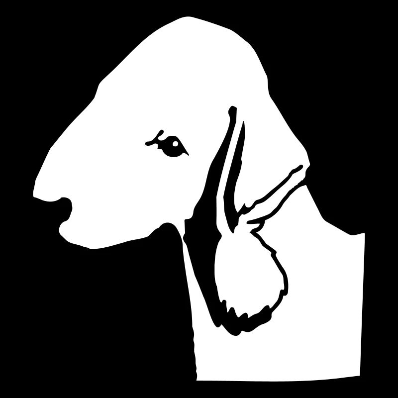 bedlington terrier