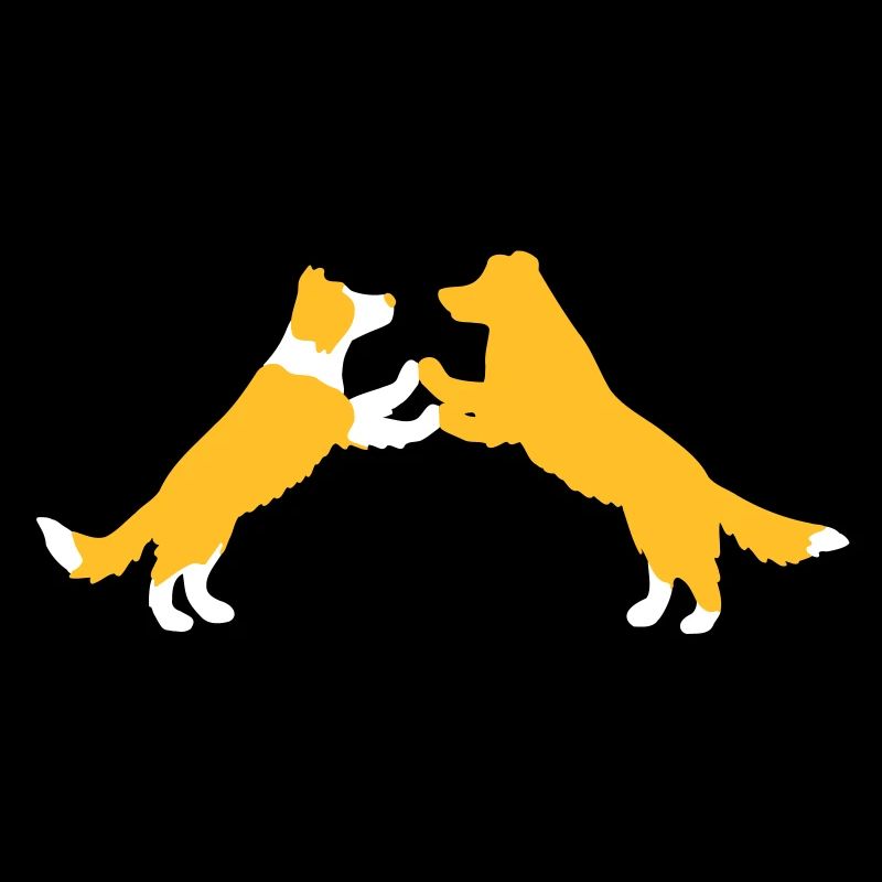dog dancing Border Collies