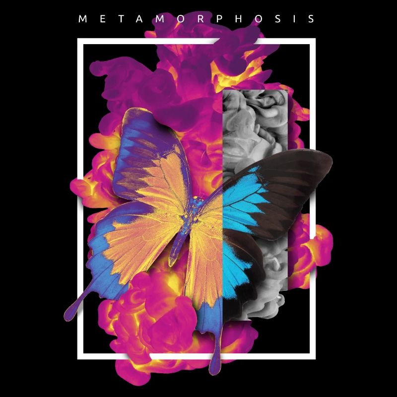METAMORPHOSIS KUNSTVOLLES SCHMETTERLING DESIGN