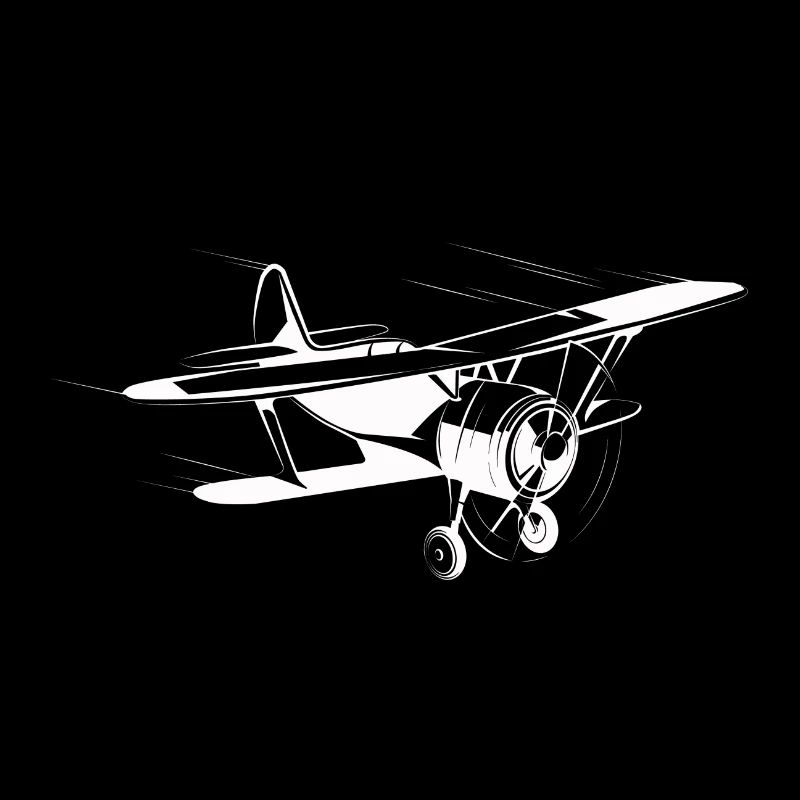 plane 2