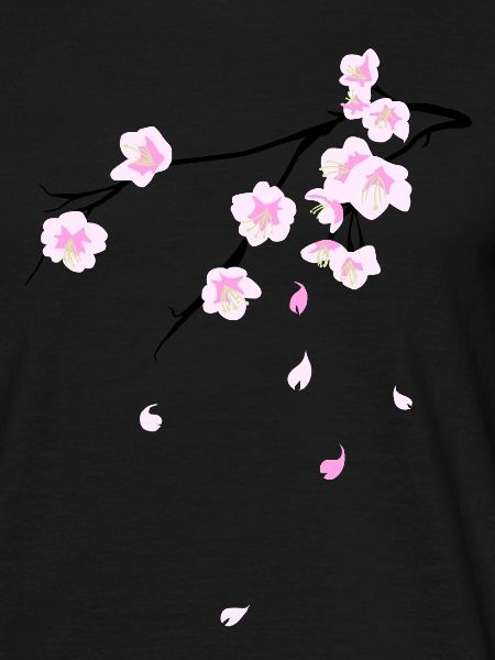 Cherry Blossoms
