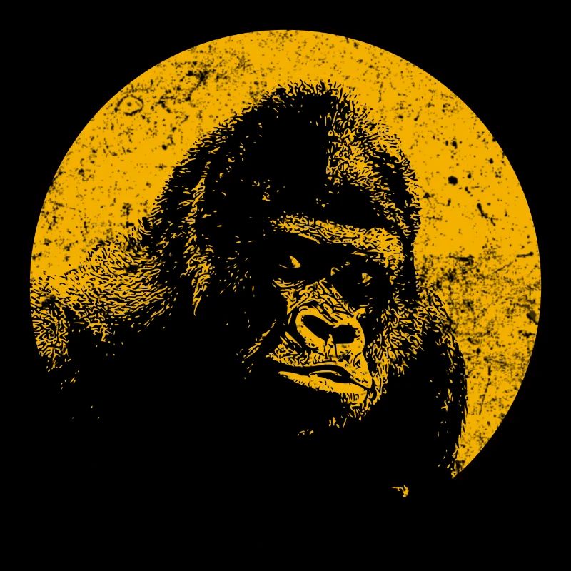 Gorilla Silberrücken Alphatier Gorillagericht