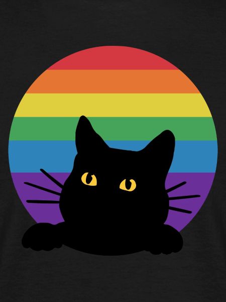 Rainbow cat