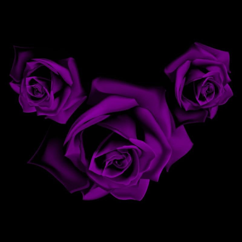 Roses - Roses violettes