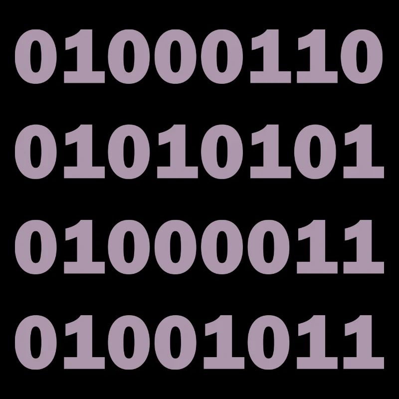 Code binaire Fuck