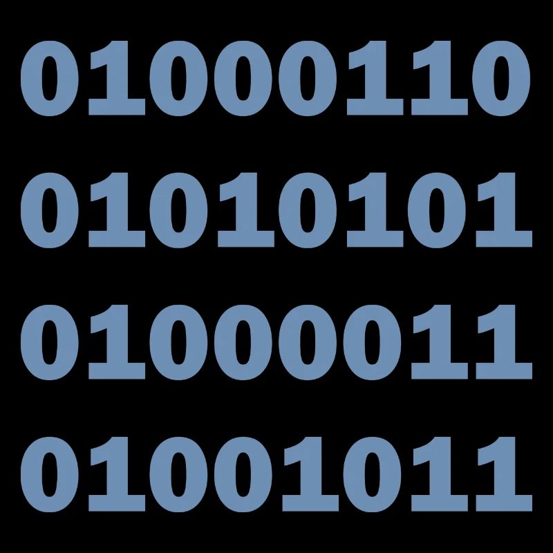 Code binaire Fuck