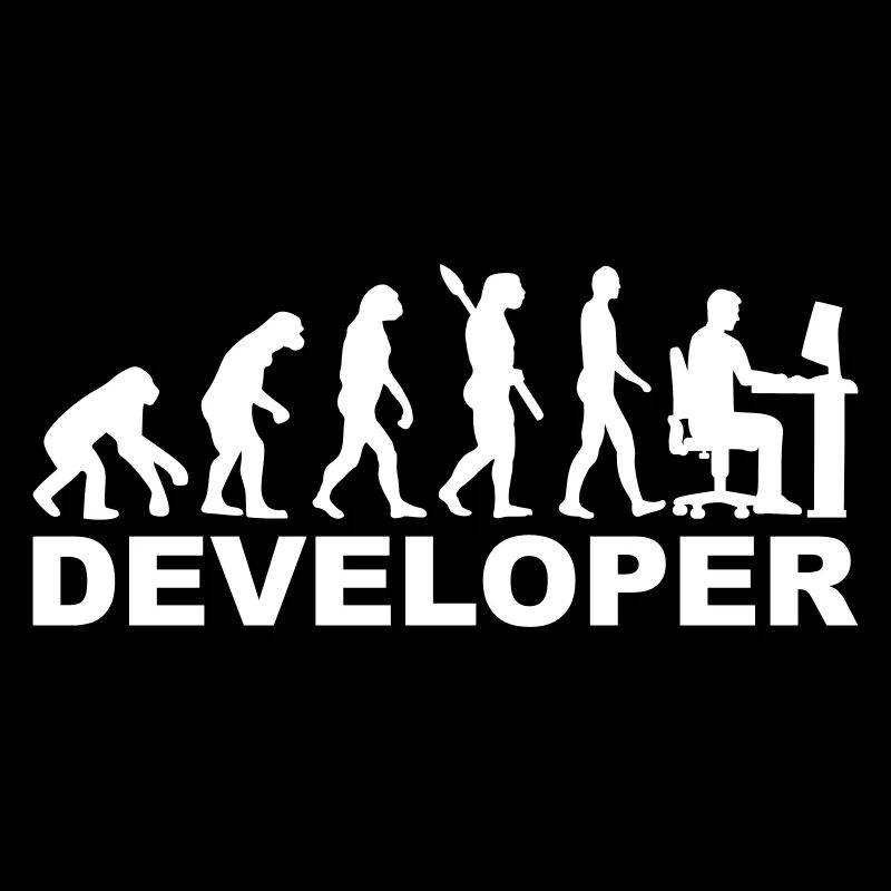 Développeur