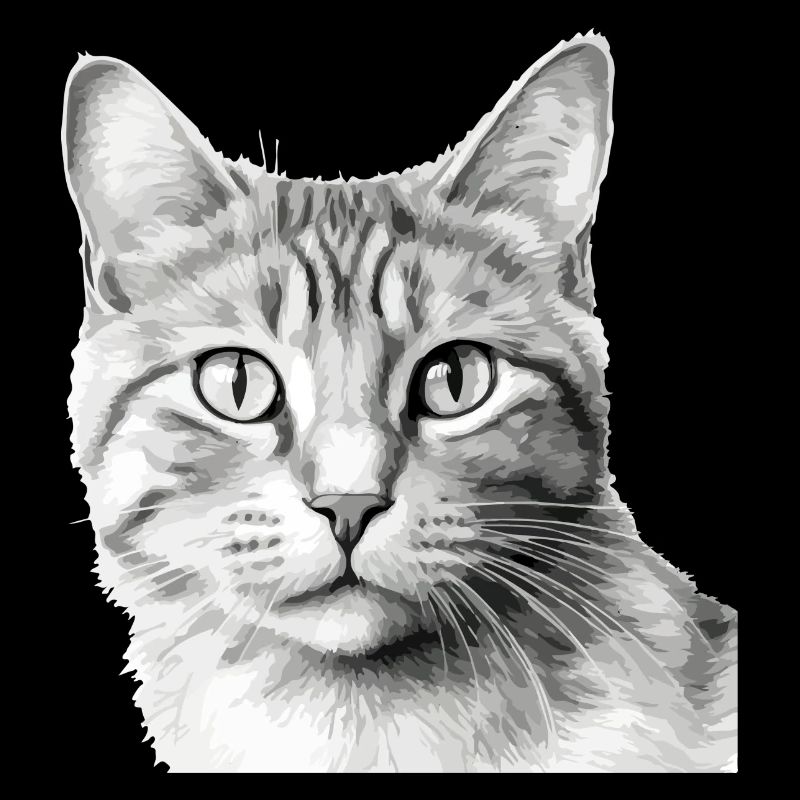 Bli le chat