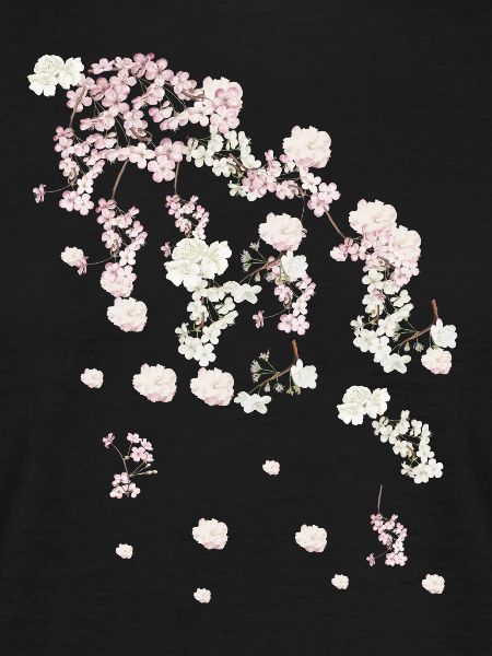 Printemps,vrilles,fleurs,fleurs,fleurs,fleurs,floraison