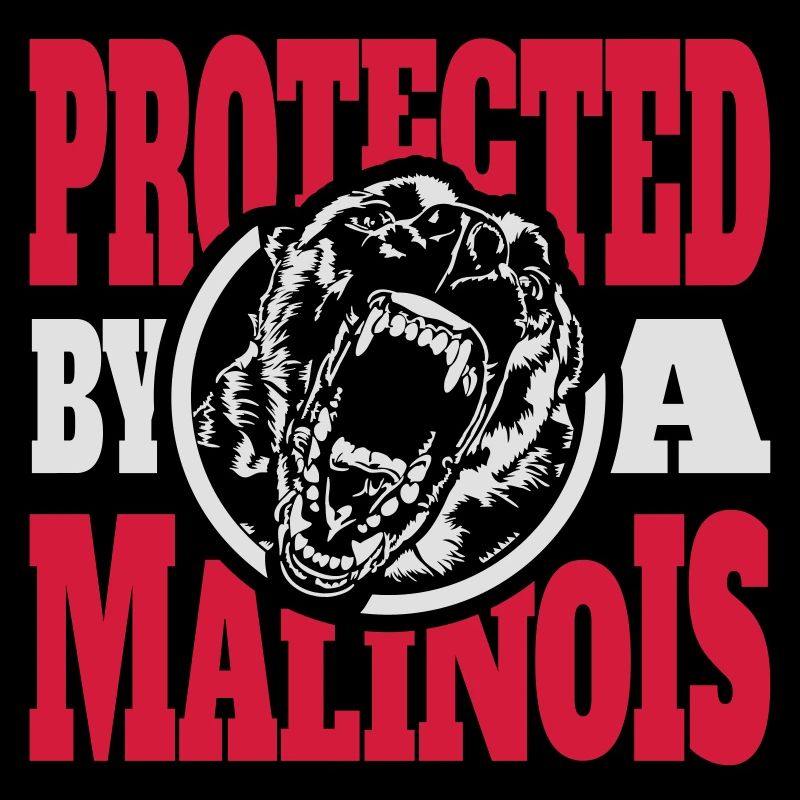Protected by a MALINOIS Belgian Malinois Wilsigns