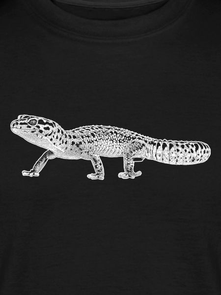 Leopard gecko