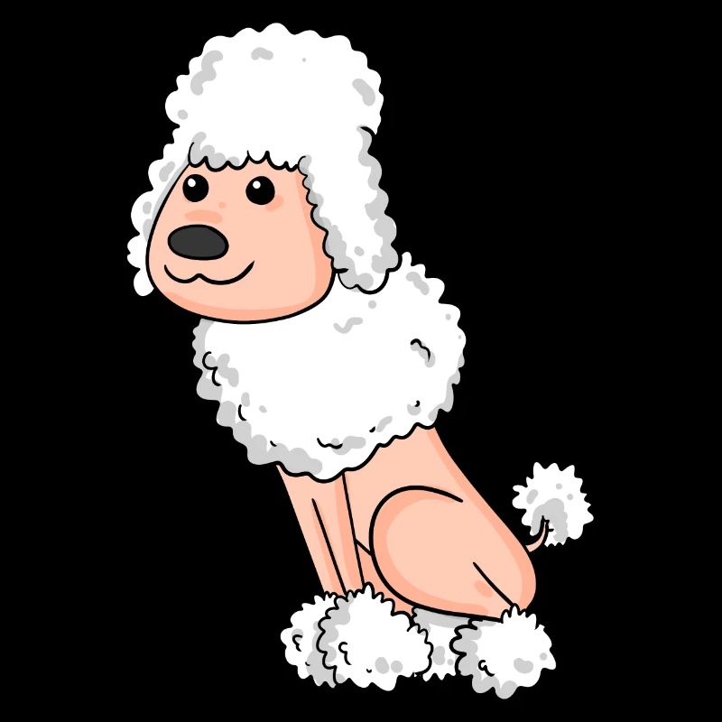 Caniche blanc