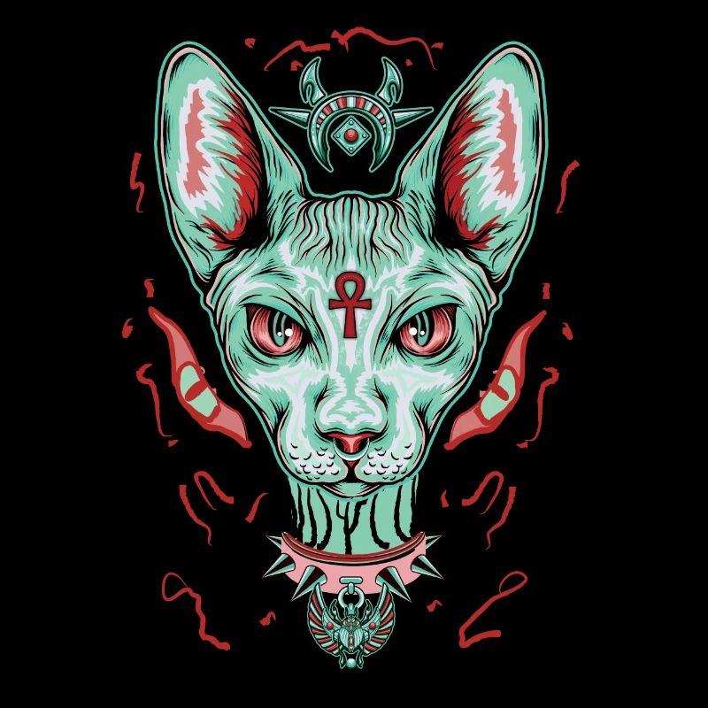 Chat Sphynx égyptien