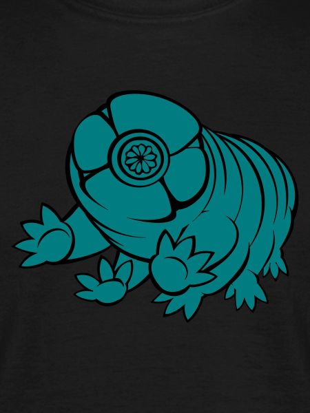 Bärtierchen Tardigrade
