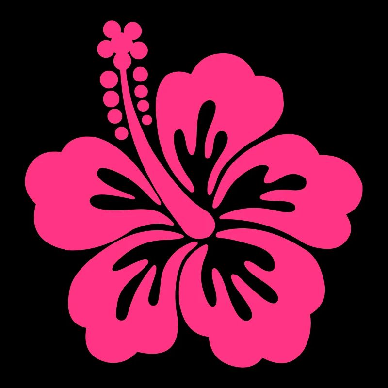 hibiscus