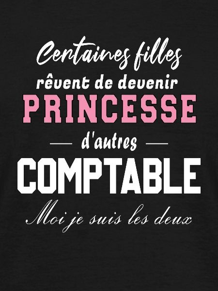 Princesse comptable
