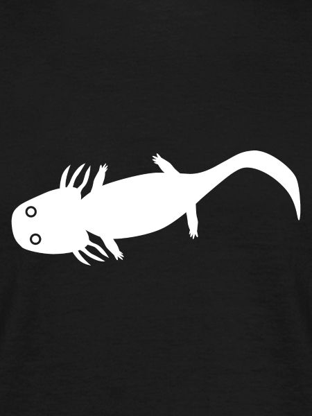Axolotl