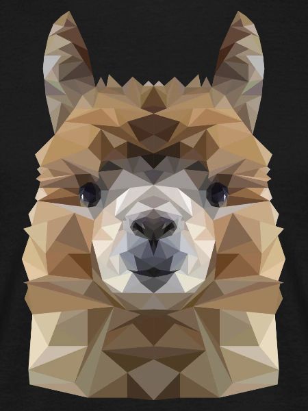 Alpaca Polygon