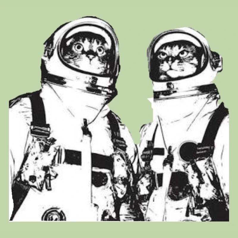 Space Cats