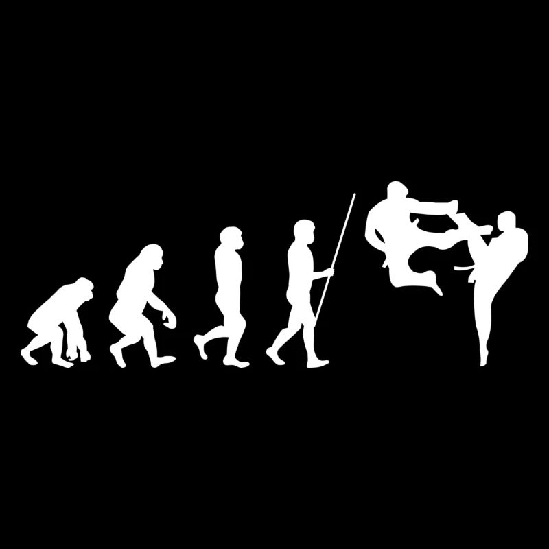 Évolution des arts martiaux