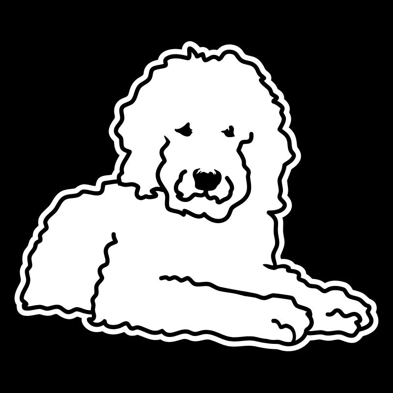 Goldendoodle