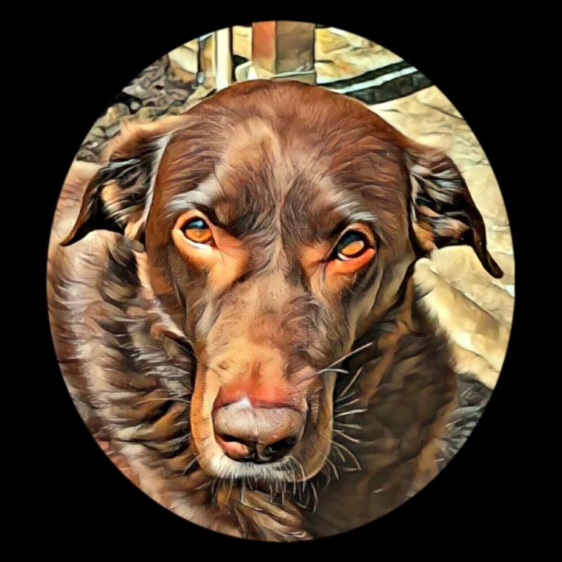 Emmi 1