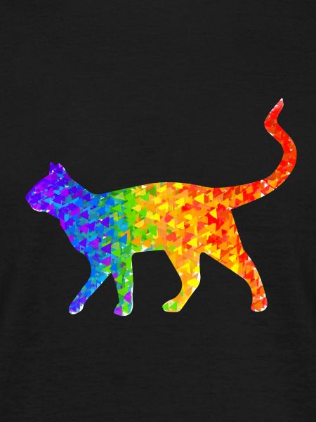 Rainbow cat