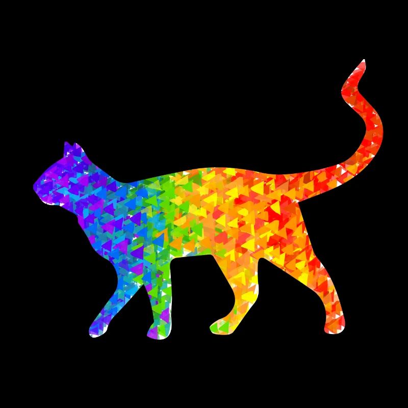 Rainbow cat