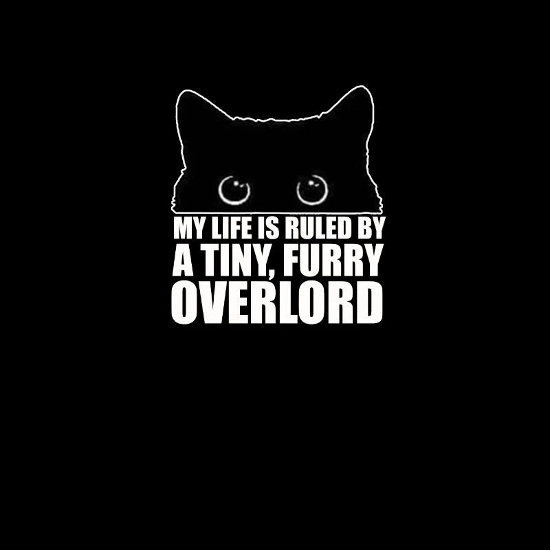 Cat misanthrope Grumpy misanthrope cats