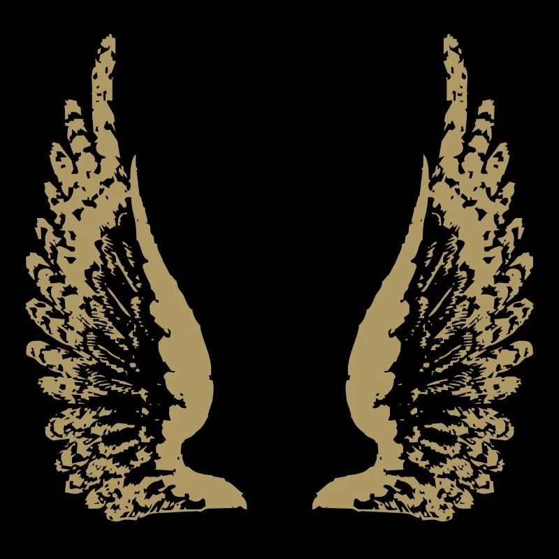 Ailes Wing · · · Symboles · Formation Ange