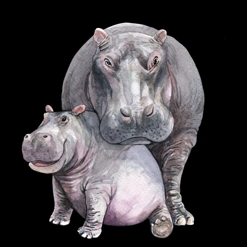 Hippopotames watercolor