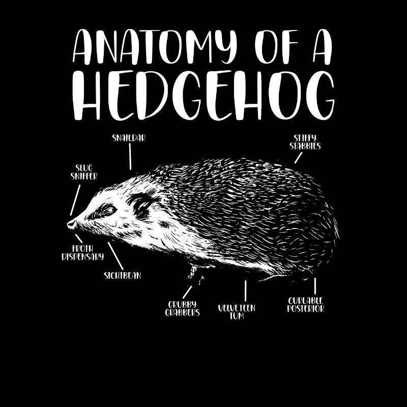 Anatomie d’un hérisson