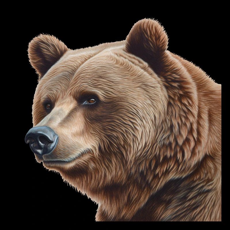 Ours