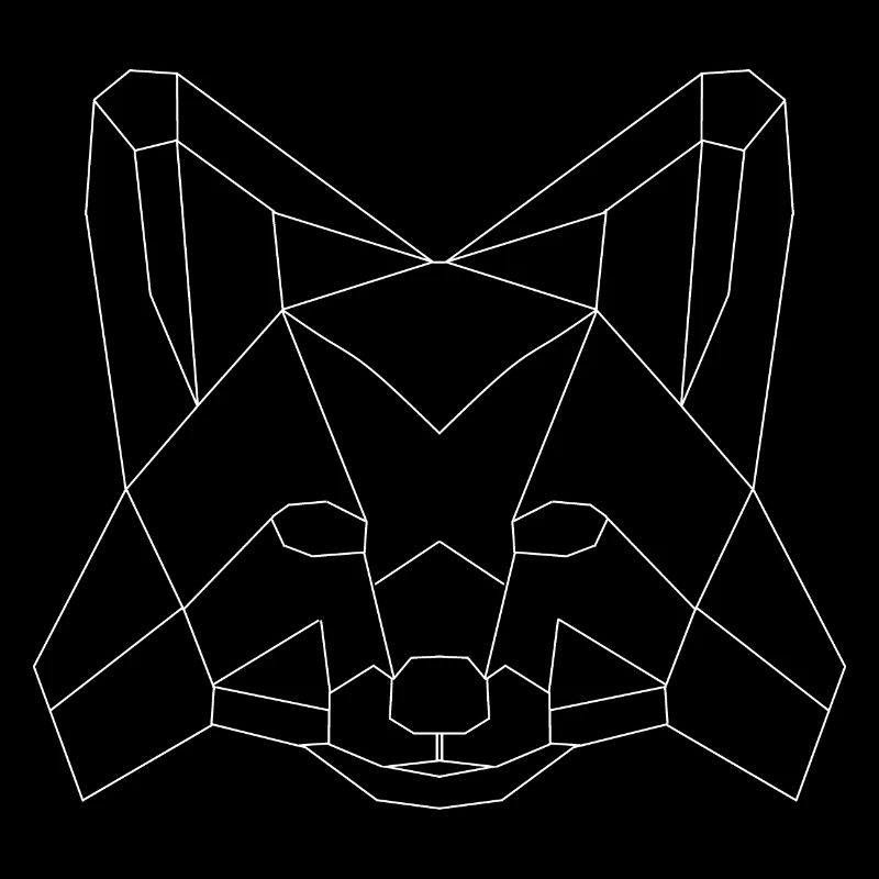 Fuchs polygons white