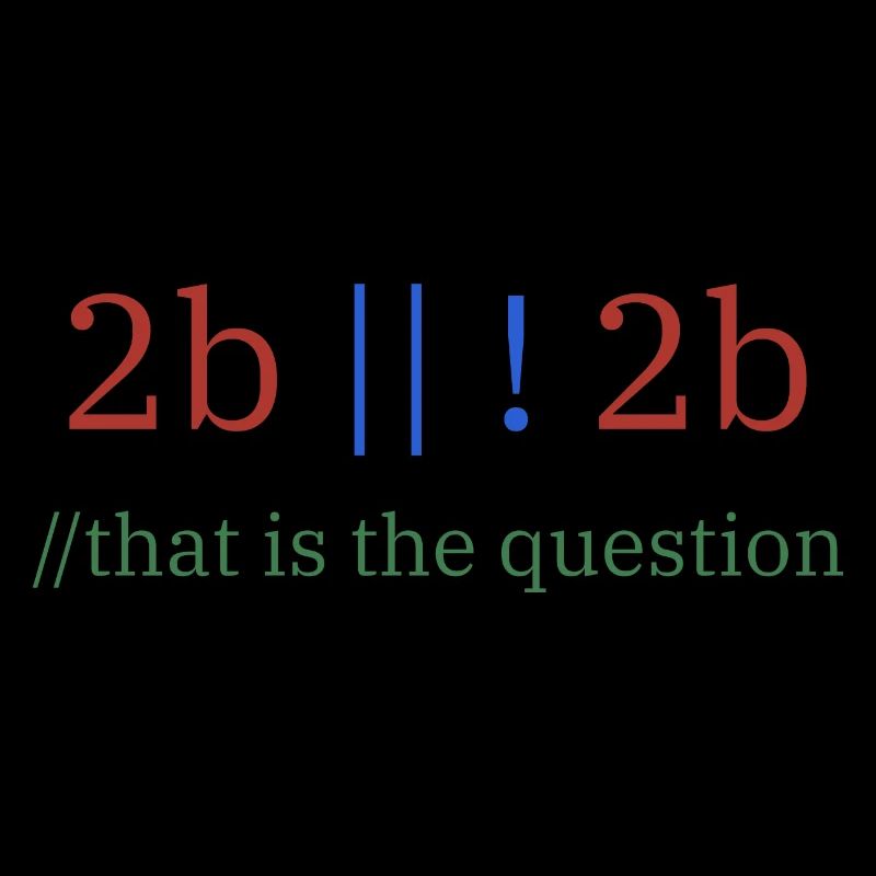 2b || !2b /To be or not to be/ Programmer