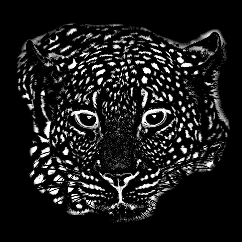 Leopard white