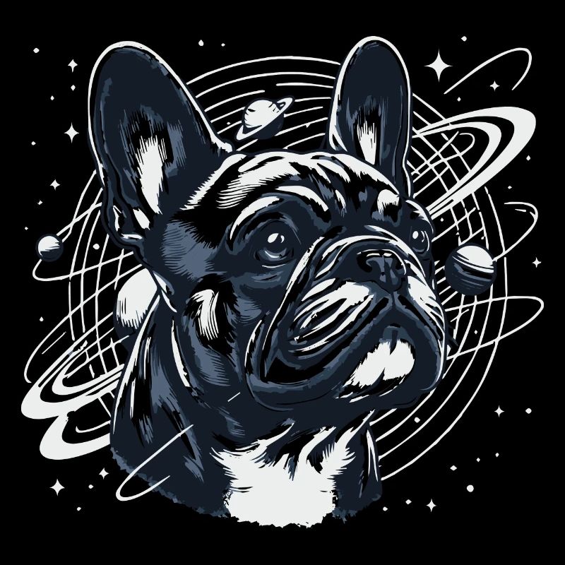 Frenchi dans l’espace 3