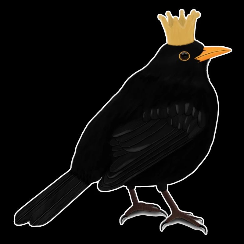 Amsel Krone Singvogel Süßer heimischer Vogel