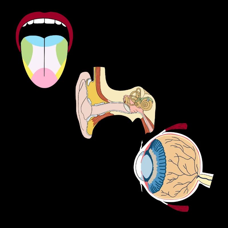 Médecine sensorielle