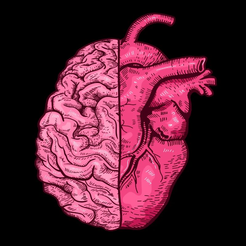 Heart vs. Brain head versus heart mind vs. heart