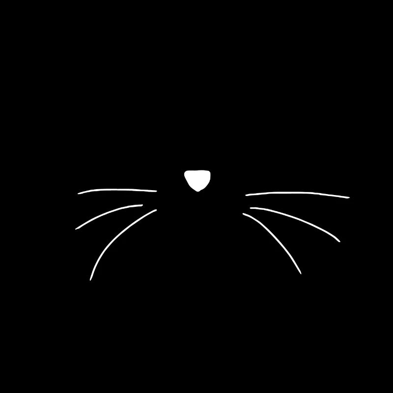 Moustaches de chat