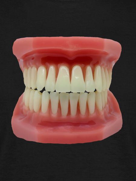 Teeth