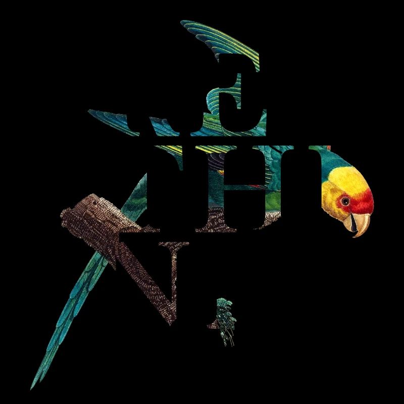 Rethink Parrot