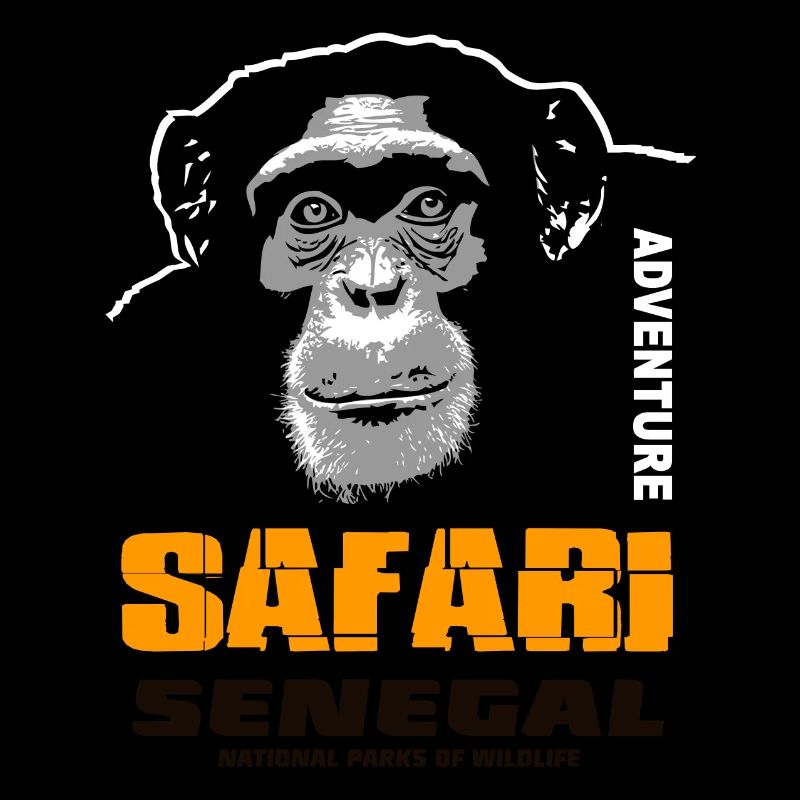 Sénégal - Chimpanzés