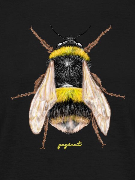 bumblebee