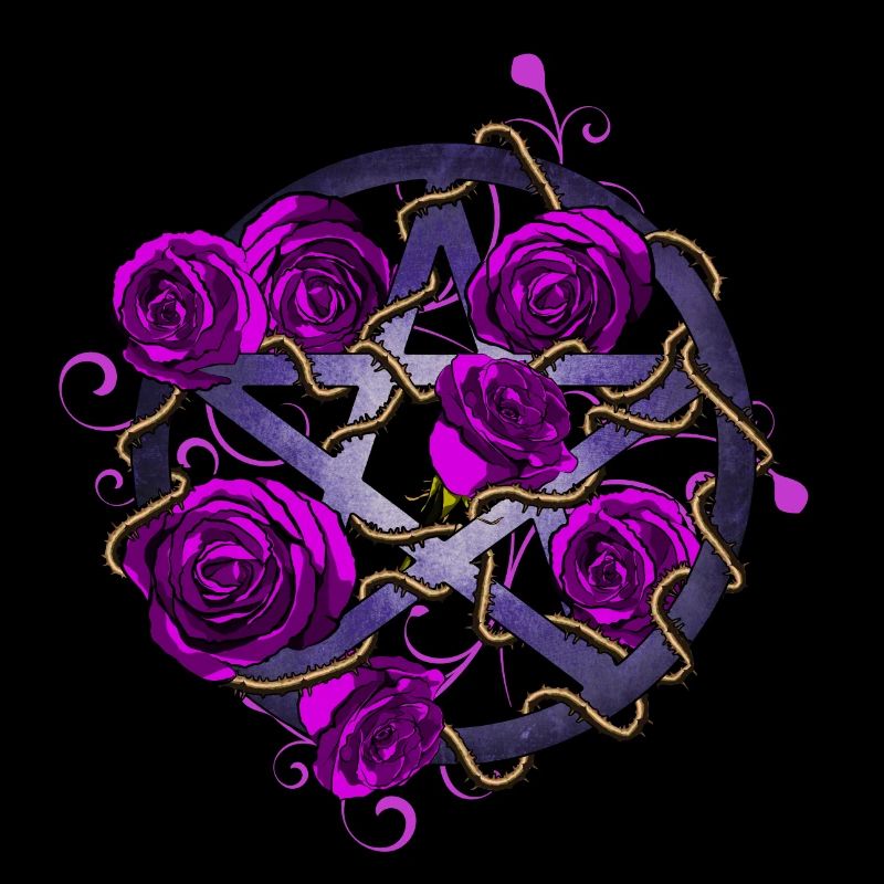Roses pentagramme violet
