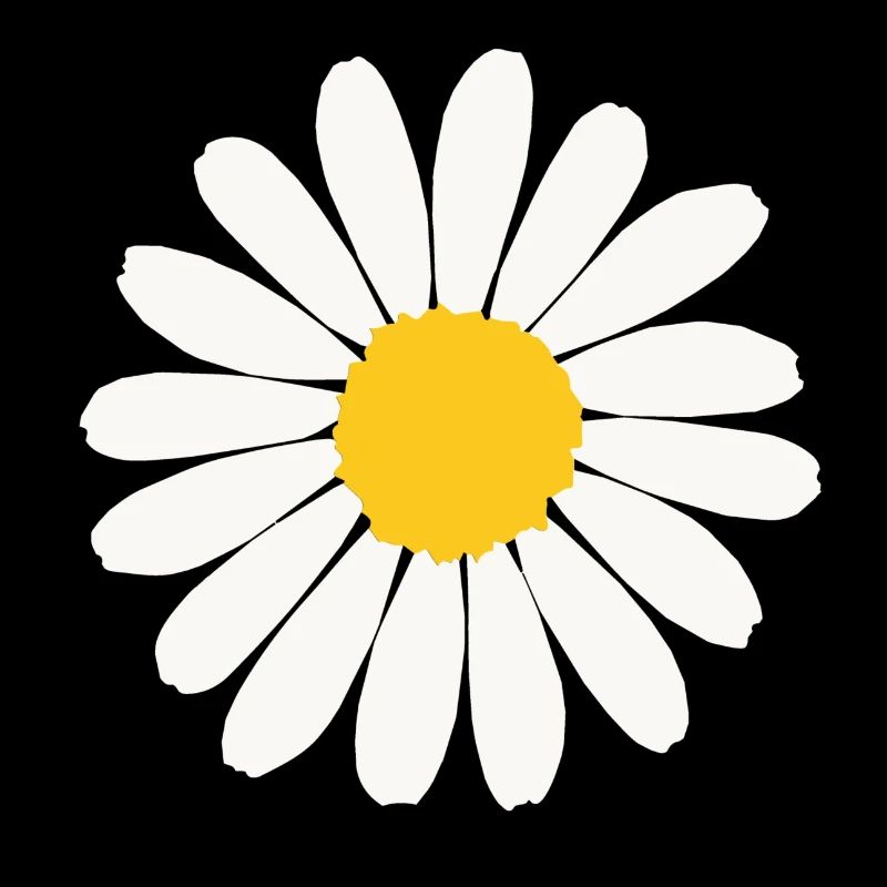 Daisy