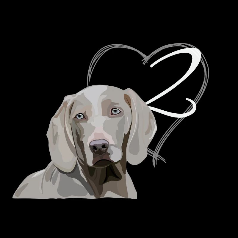 Weimaraner - 2nd birthday