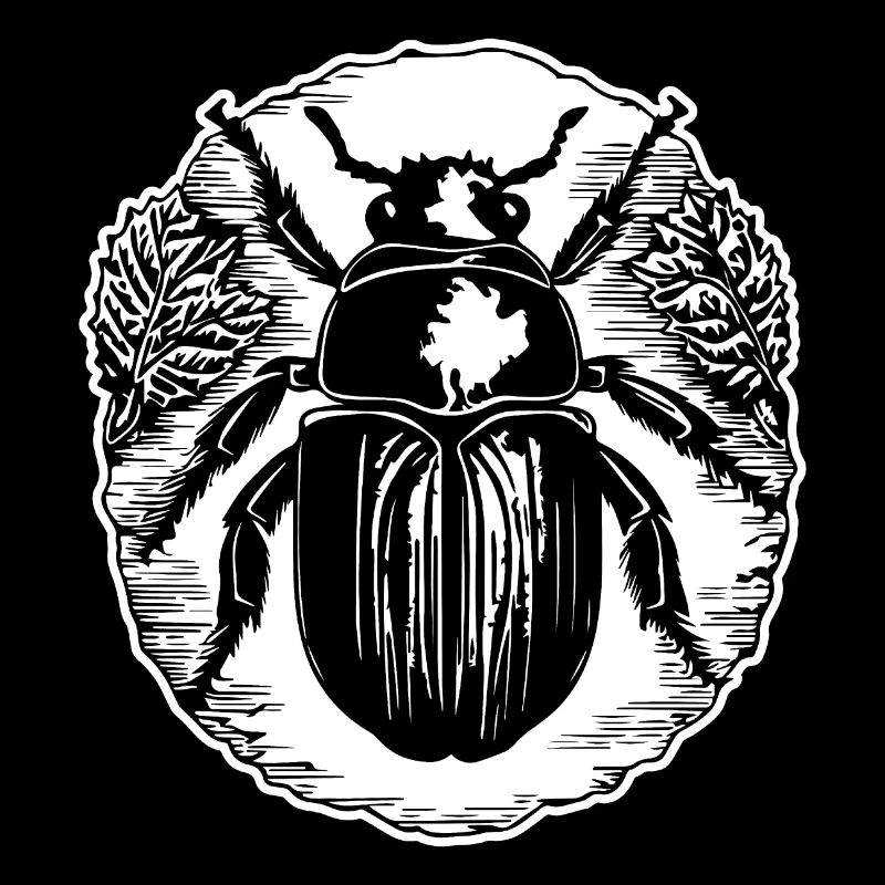 Insectes, bestioles, arthropodes