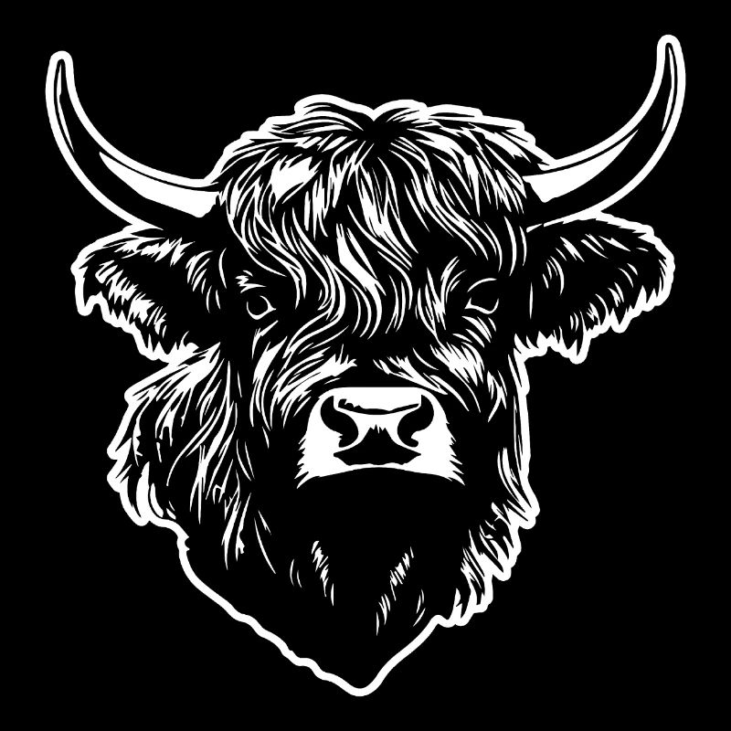 Vache écossaise des Highlands